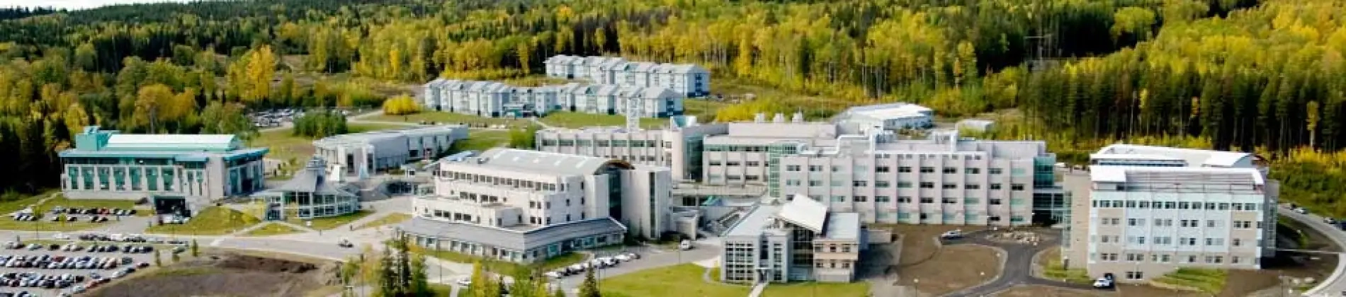 Bachelor of Social Work (BSW)